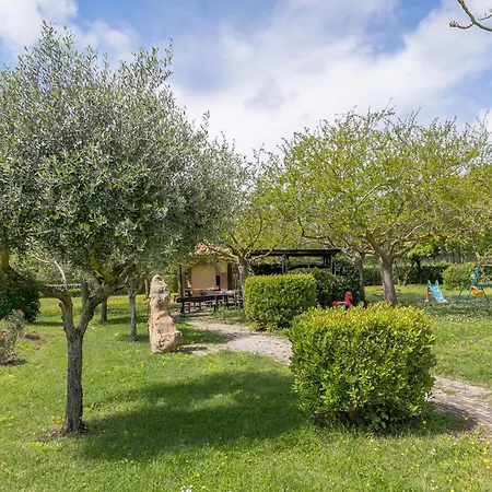 Il Girasole - Mirto Agroturismo *